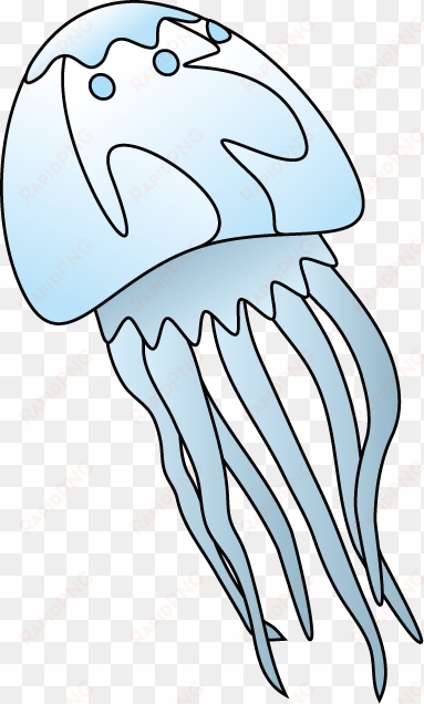 collection of transparent high quality free - box jellyfish clip art