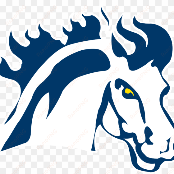 college basketball conference & regional tournament - mount mercy university mustangs