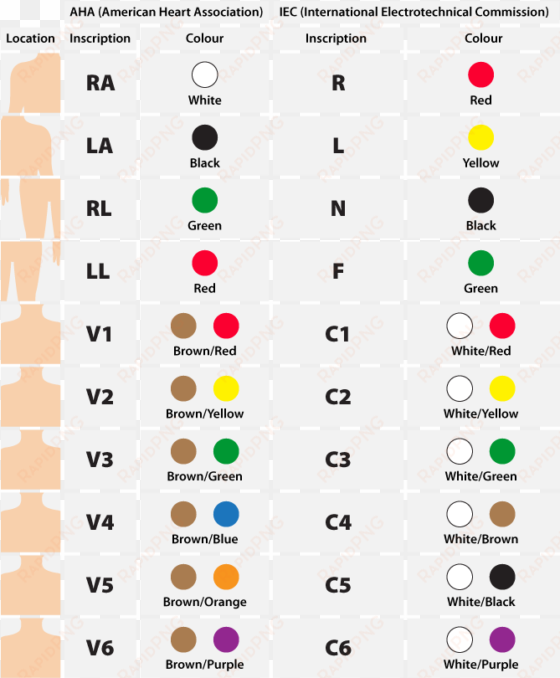color coding standards for the 12-lead ecg - electrocardiography