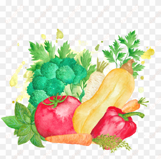 Colorful Hand Drawn Cartoon Vegetable Kitchen Transparent - Carolines Treasures Watercolor Vegetables Farm To Table transparent png image