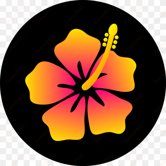 colorful hibiscus flower design - hawaiian flowers