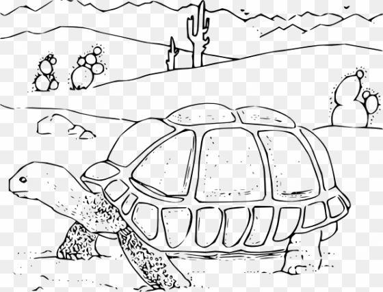 coloring book desert tortoise svg clip arts 600 x 458