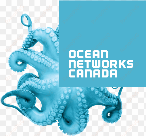 colour - ocean networks canada logo