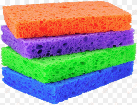 coloured sponges - cleaning sponges