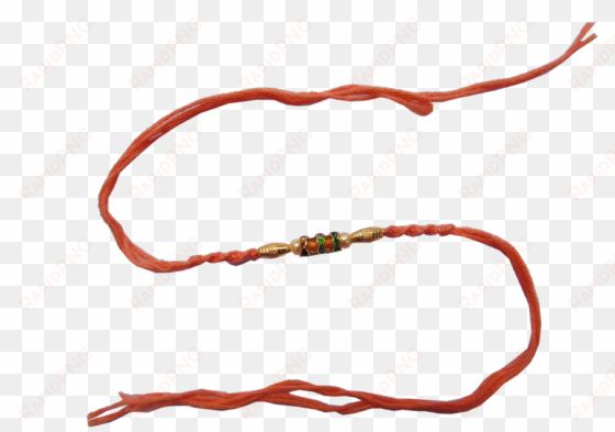 colourful thread rakhi - pet an animal