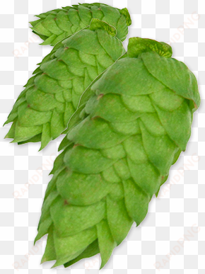 comet pellet hops - hops