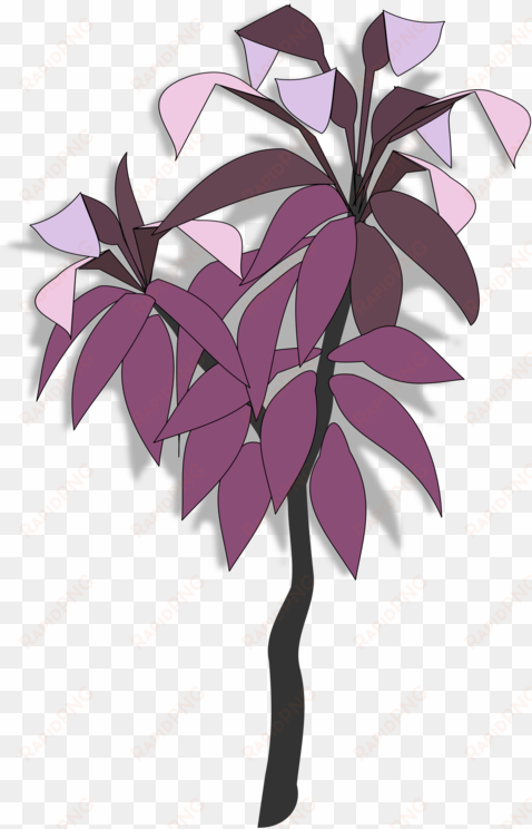 Common Grape Vine Leaf Plants Drawing Branch - Clip Art transparent png image