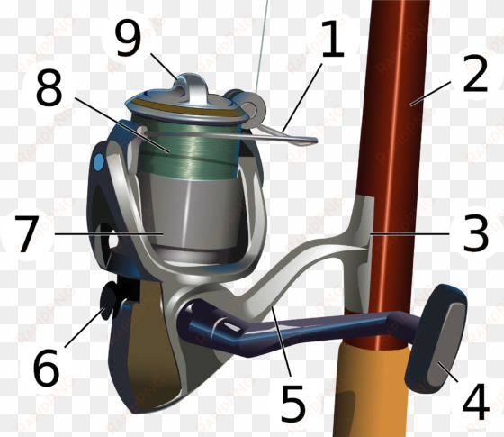 compared to the fishing rod, the reel can be broken - parts of a fishing reel