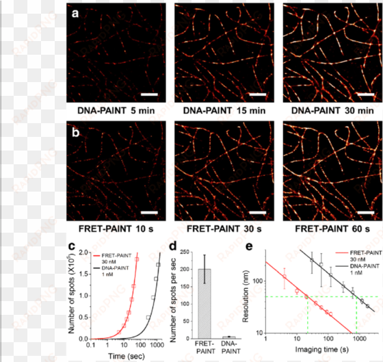 comparison of the imaging speeds of dna paint and fret - diagram