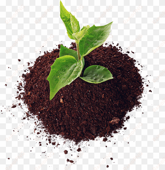 complete gardening inc - soil