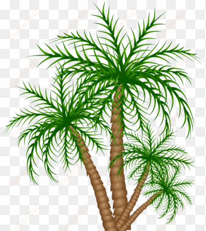 congo playfield palm trees - palm trees