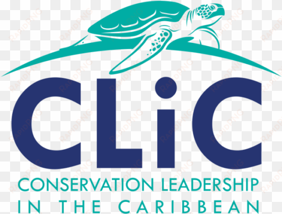 conservation leadership in the caribbean is a training - portable network graphics