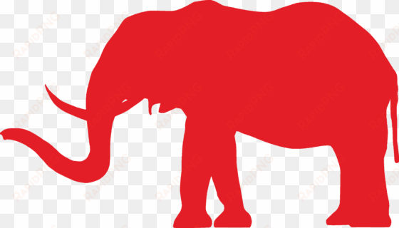 conservative elephant
