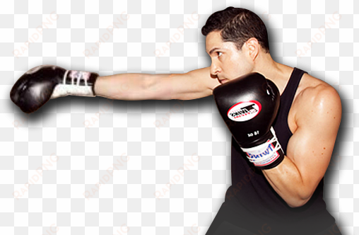 contact - professional boxing