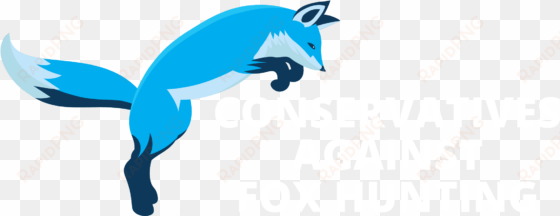 contact us - fox blue
