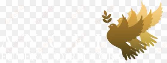 contact us - funeral angel png