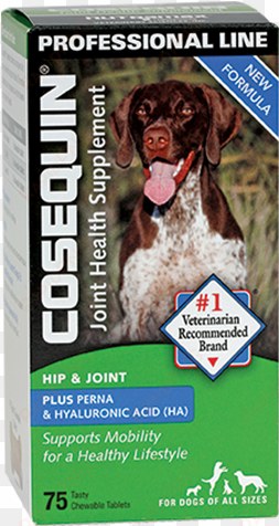 Container Of Cosequin Standard Strength Plus - Cosequin Standard Strength Plus Boswellia And Ha 75 transparent png image