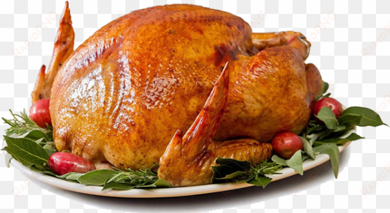 cooked turkey png - turkey christmas png