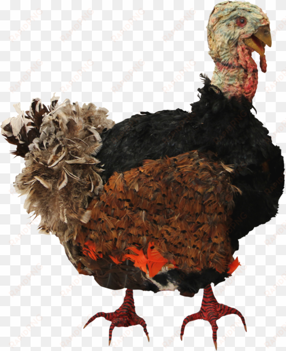 cooked turkey png - turkey photoshop