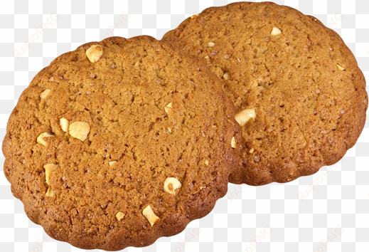 cookie png - ginger cookies transparent background