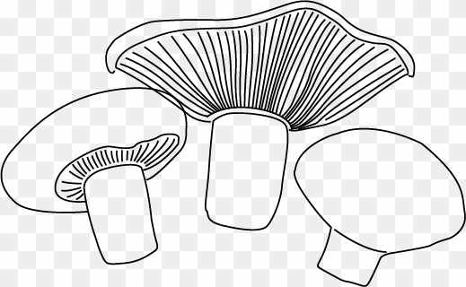 cooking with australian mushrooms - mushroom drawing png