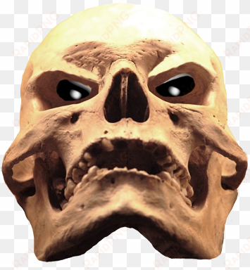 cool skull - evil skull png