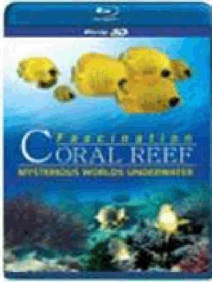 coral reef 3d - fascination coral reef 3d mysterious worlds underwater