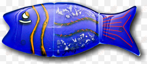 Coral Reef Fish transparent png image