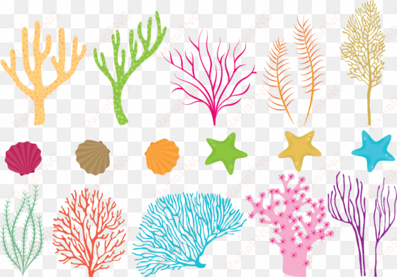 coral reef png clipart black and white stock - coral reef vector free download