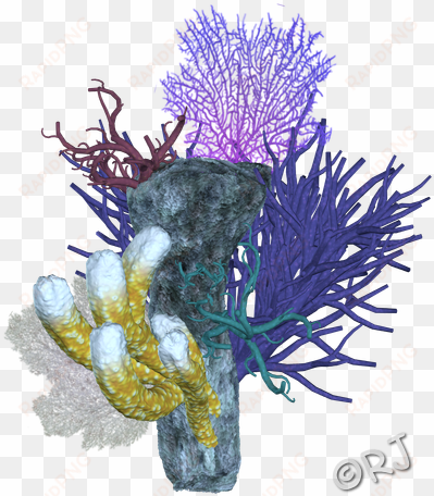 coral reef png - floral design