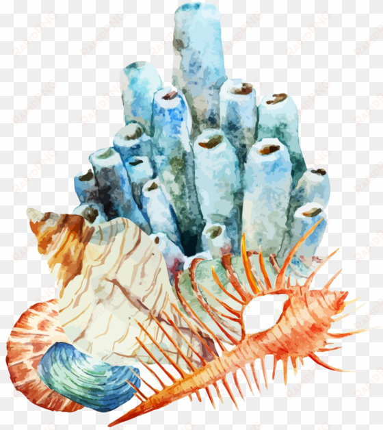 coral reef watercolor painting illustration - coral reef watercolor