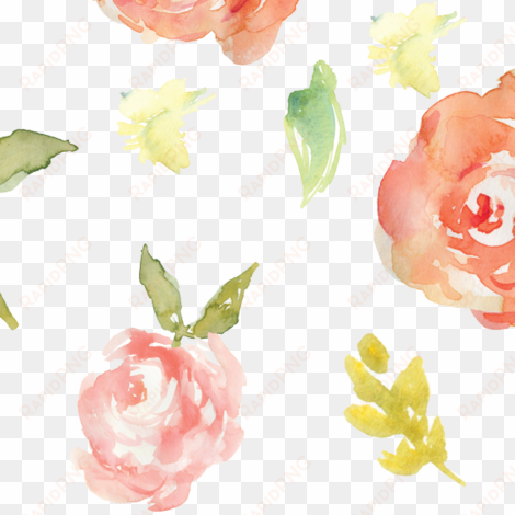 coral watercolor png - watercolor painting