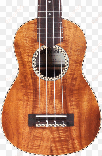 cordoba 25s (25s soprano ukulele) guitar