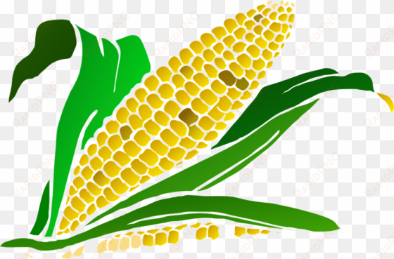 corn clipart harvesting crop - corn clip art png