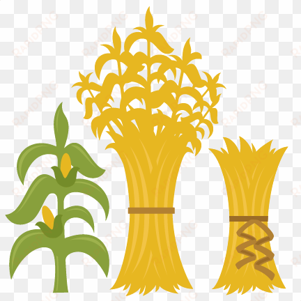 corn stalks svg cutting files for scrapbooking fall - fall corn stalks clip art