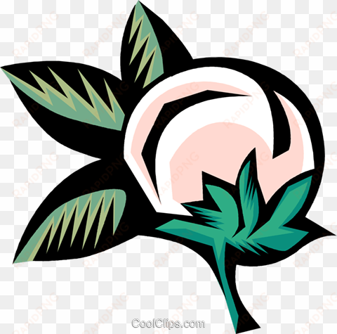cotton plant royalty free vector clip art illustration - cotton plant cotton clip art