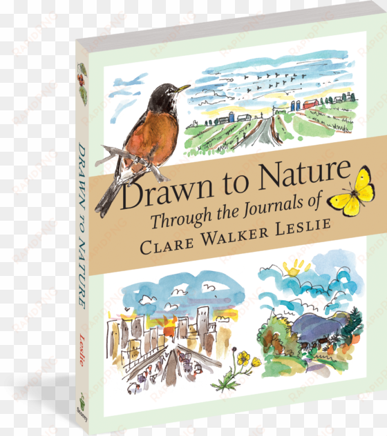 cover - drawn to nature: through the journals of clare walker