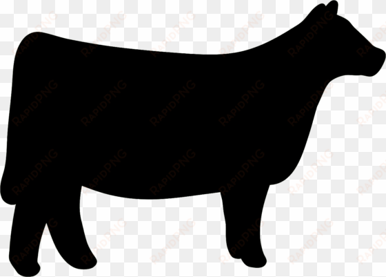 cow clipart heifer - show heifer clip art