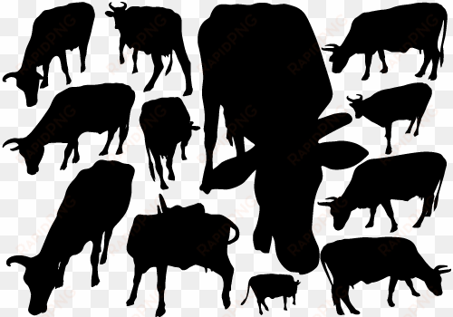 cow silhouette vector - cattle