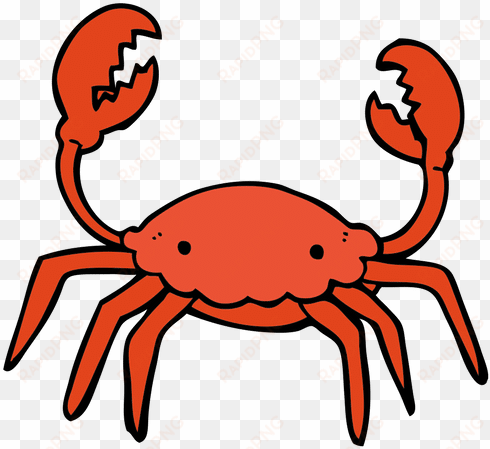 crab - rock crab