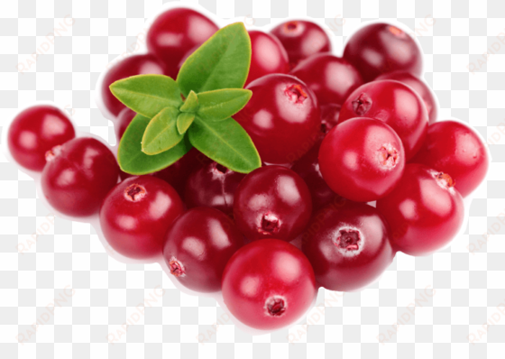 cranberries - organic traditions organic cranberry supreme with probiotics