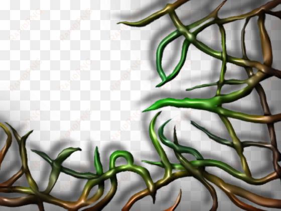 creepy clipart vine - wood vine png