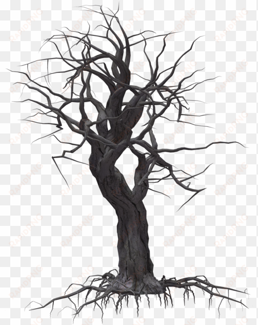 creepy tree 05 by wolverine041269 on clipart library - creepy tree transparent