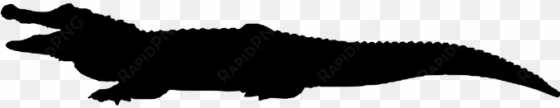 crocodile, animal, silhouette - download