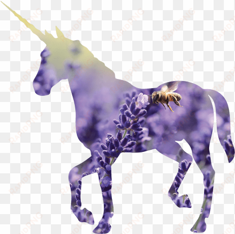 crop your photo into a unicorn shape - lockscreens unicorns