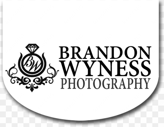 cropped wedding photographer logo swing - swirls and twirls