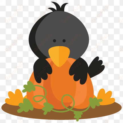 crow behind pumpkin svg scrapbook cut file cute clipart - cute crow clipart