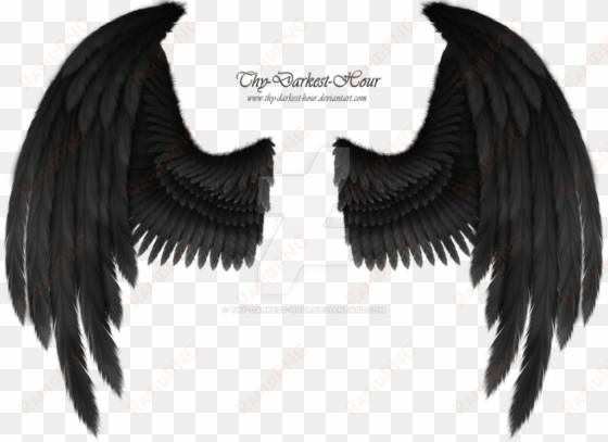 crow wings - black raven wings png