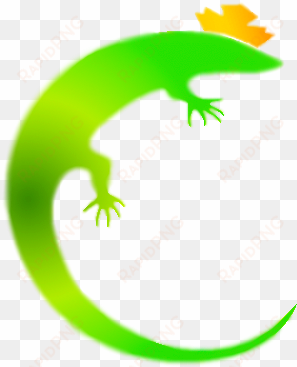 crown lizard 2 - lizard