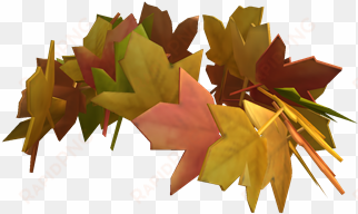 crown of fall leaves - autumn leaf color